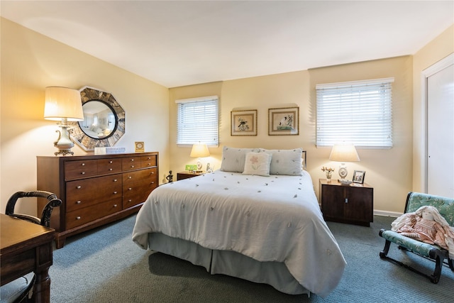 43 Woodglen Dr, New City, NY 10956 - view of carpeted bedroom