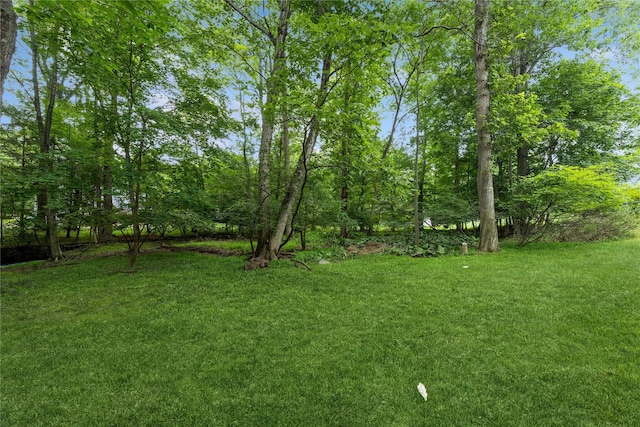 43 Woodglen Dr, New City, NY 10956 - view of grassy yard
