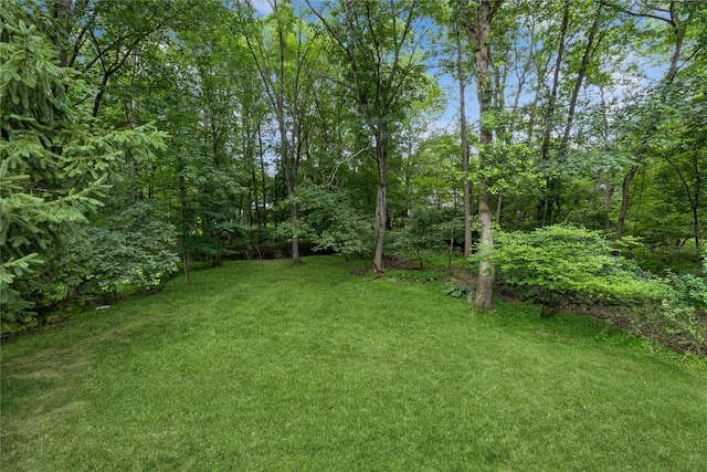 43 Woodglen Dr, New City, NY 10956 - view of grassy yard