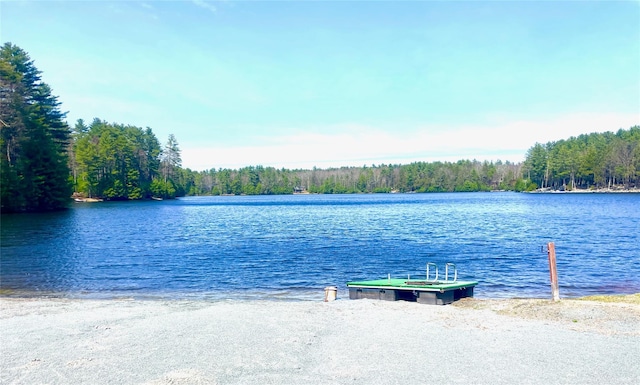 LOT26 Timber Lake Dr, Yulan, NY 12792 - photo 1