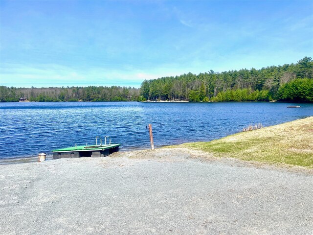LOT26 Timber Lake Dr, Yulan, NY 12792 - photo 3