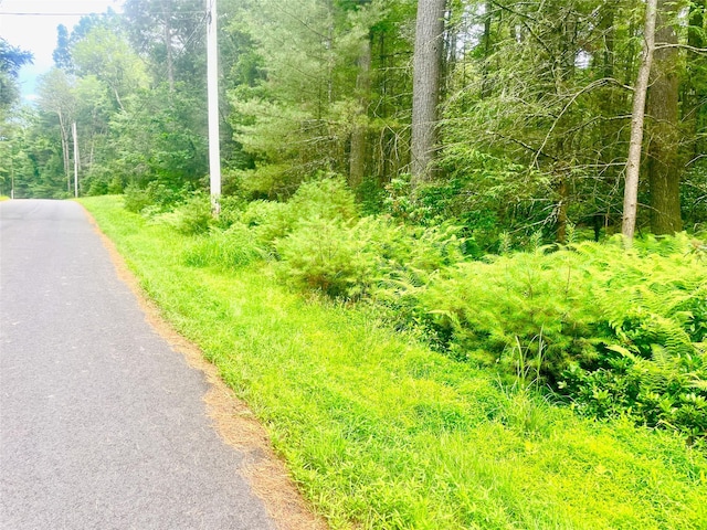LOT26 Timber Lake Dr, Yulan, NY 12792 - photo 13