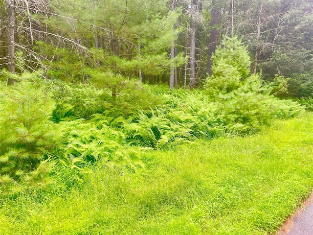 LOT26 Timber Lake Dr, Yulan, NY 12792 - photo 14
