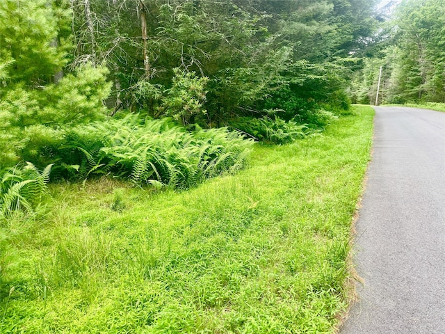 LOT26 Timber Lake Dr, Yulan, NY 12792 - photo 15