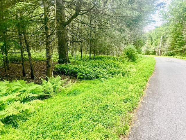 LOT26 Timber Lake Dr, Yulan, NY 12792 - photo 16