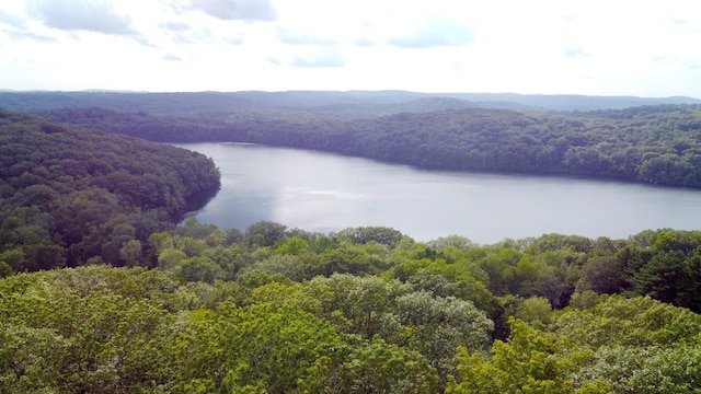 25 Lake Gilead Rd, Carmel, NY 10512 - photo 24