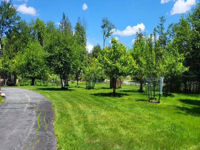 139 Haddock Rd, Monticello, NY 12701 - surrounding community with a yard