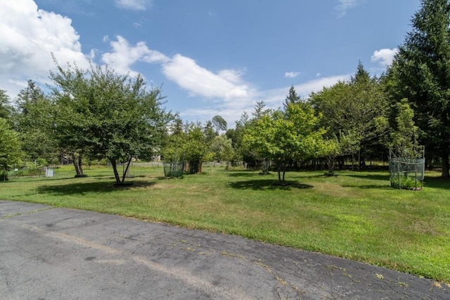 139 Haddock Rd, Monticello, NY 12701 - photo 29