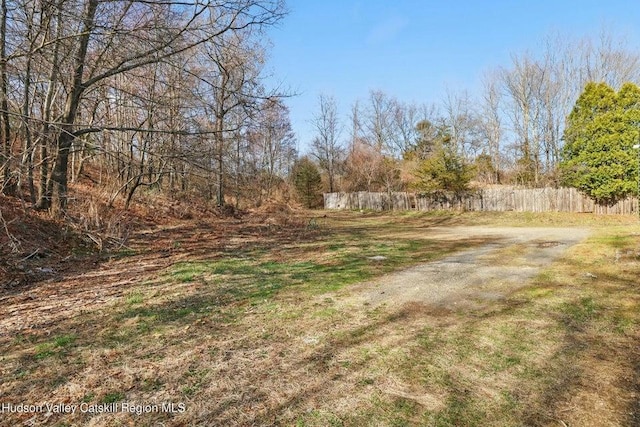 1601 Rte 199, Red Hook, NY 12571 - view of yard