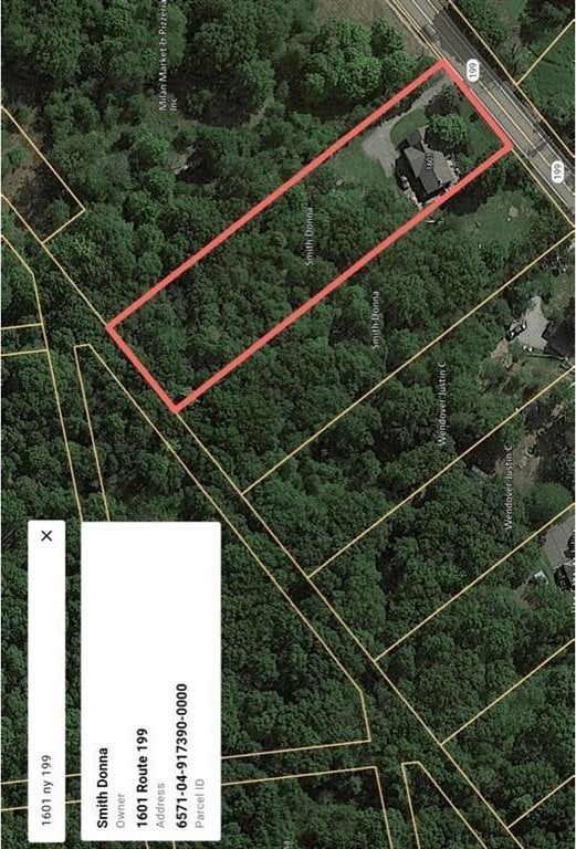1601 Rte 199, Red Hook, NY 12571 - map / location with property boundaries highlighted