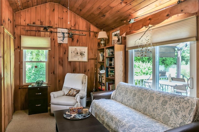 7 Clover Ln, Brookhaven, NY 11719 - living area featuring lofted ceiling, wooden walls, wooden ceiling, and carpet floors