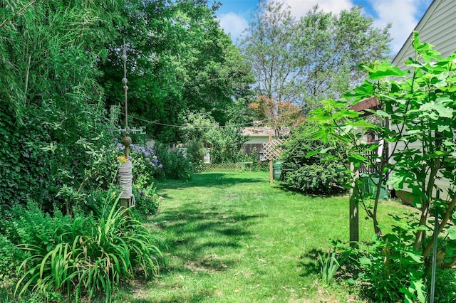 7 Clover Ln, Brookhaven, NY 11719 - view of green lawn