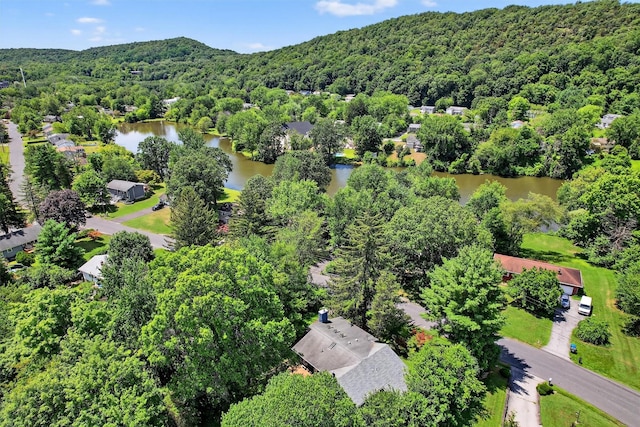 17 Merriewold Ln N, Monroe, NY 10950 - photo 38