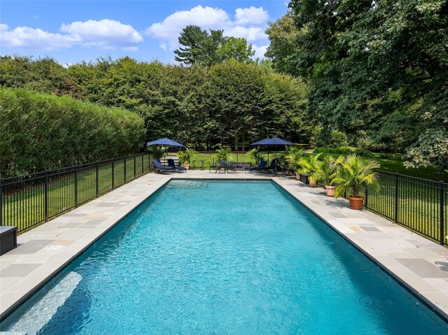 36 Revolutionary Rd, Briarcliff Manor, NY 10510 - photo 42