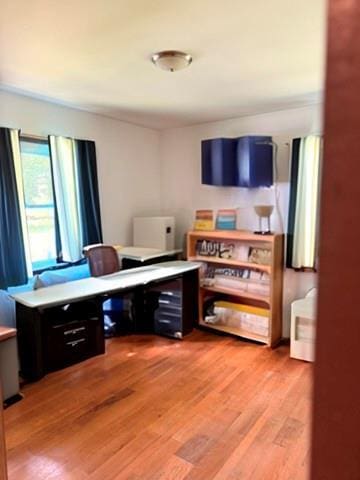 69 Finkle Rd, Summitville, NY 12790 - office with light wood-type flooring