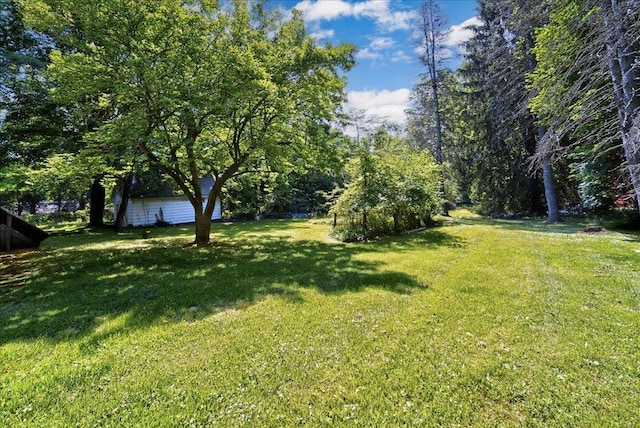 1095 State Route 94, New Windsor, NY 12553 - view of green lawn