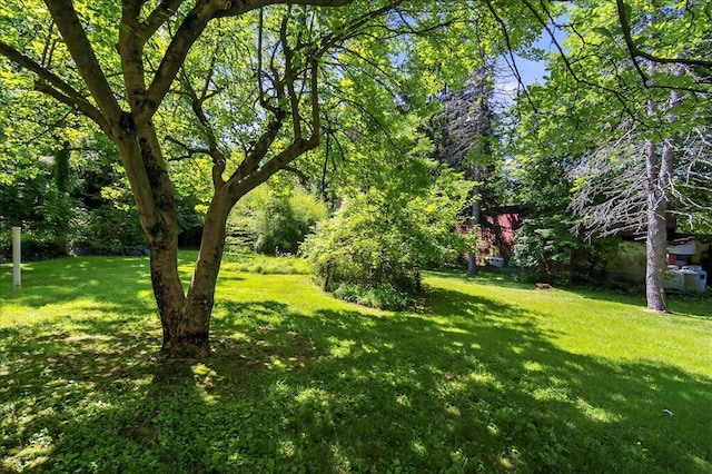 1095 State Route 94, New Windsor, NY 12553 - view of grassy yard