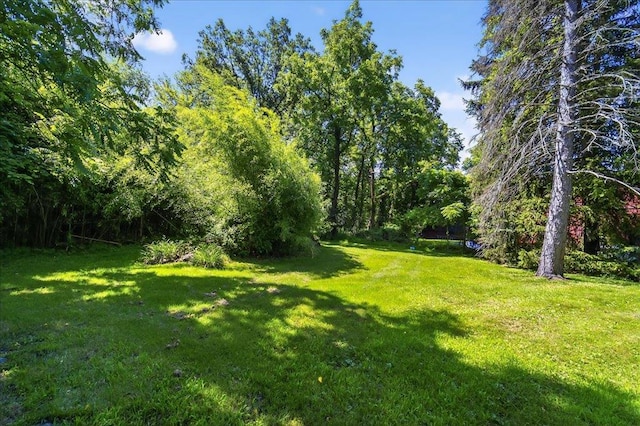 1095 State Route 94, New Windsor, NY 12553 - view of green lawn with a forest view