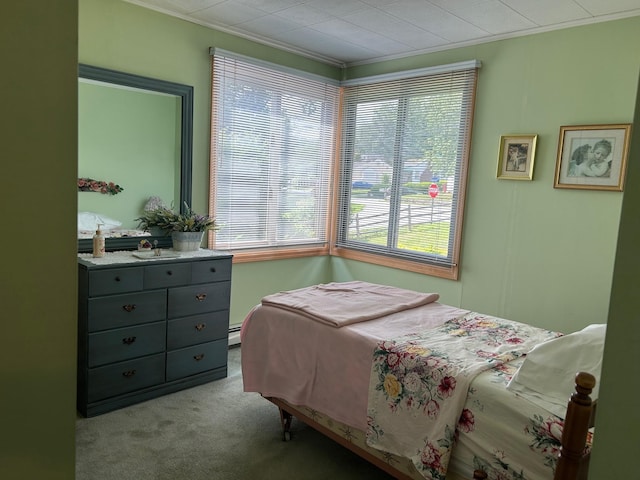 10 Huron Rd, Carmel, NY 10512 - photo 11