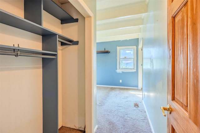 12 Rivera Ln, West Sayville, NY 11796 - view of closet