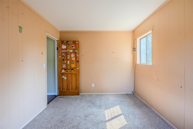12 Rivera Ln, West Sayville, NY 11796 - unfurnished room featuring carpet floors and wooden walls