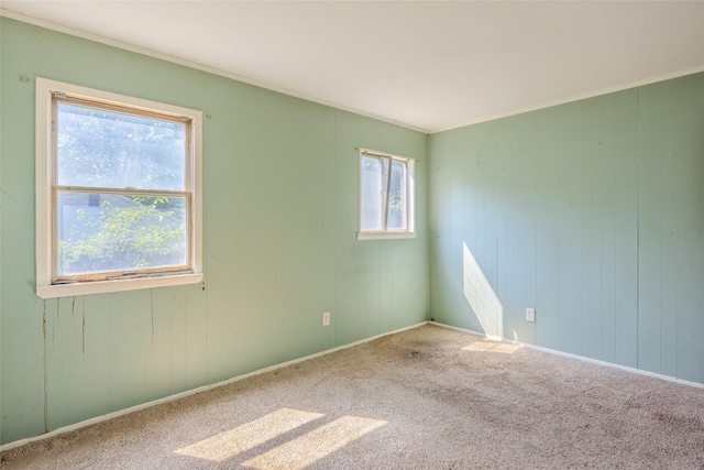 12 Rivera Ln, West Sayville, NY 11796 - spare room with ornamental molding and carpet