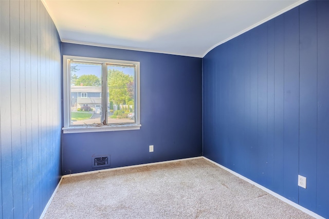 12 Rivera Ln, West Sayville, NY 11796 - carpeted spare room featuring wood walls and baseboards