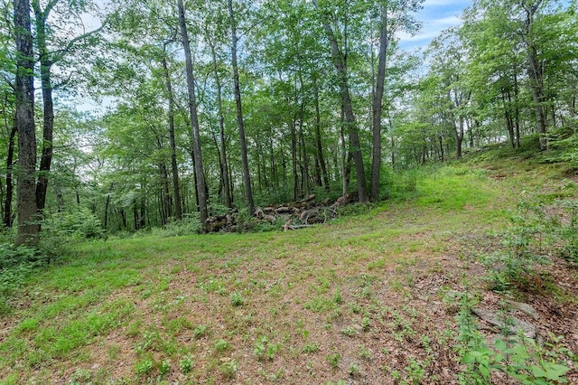 51 Kirby Hill Rd, Pawling, NY 12564 - photo 5