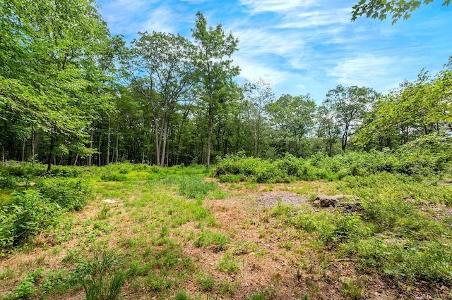 51 Kirby Hill Rd, Pawling, NY 12564 - photo 6