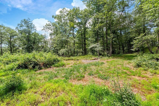 51 Kirby Hill Rd, Pawling, NY 12564 - photo 7