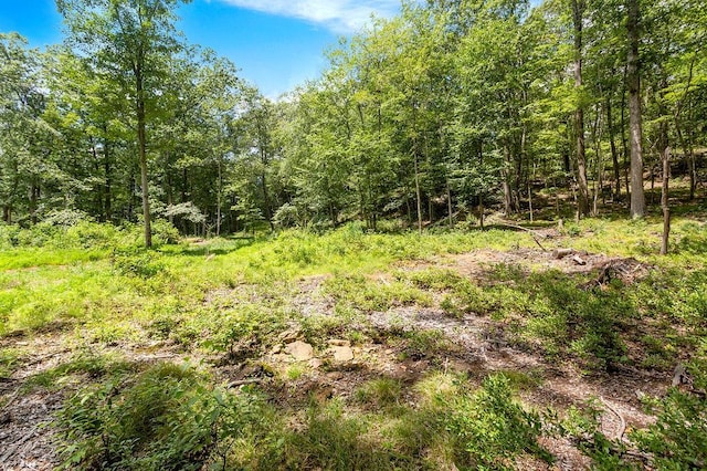 51 Kirby Hill Rd, Pawling, NY 12564 - photo 8