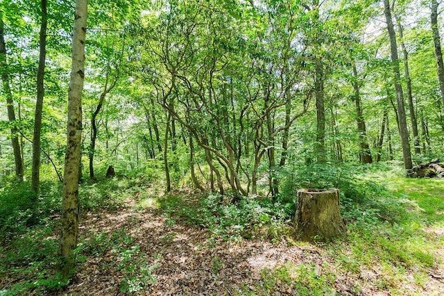 51 Kirby Hill Rd, Pawling, NY 12564 - photo 9