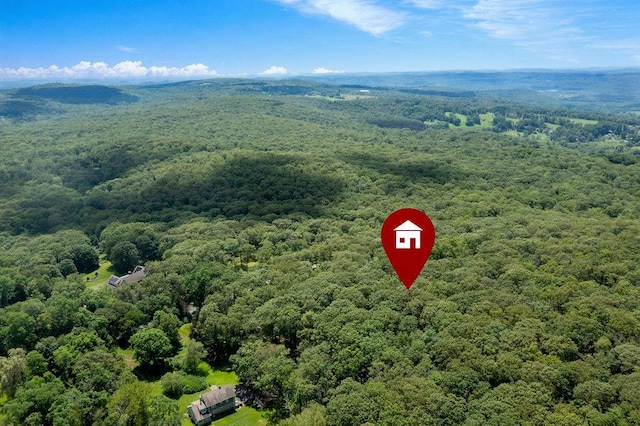 51 Kirby Hill Rd, Pawling, NY 12564 - photo 10