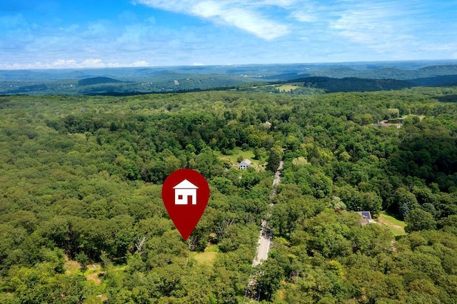 51 Kirby Hill Rd, Pawling, NY 12564 - photo 11