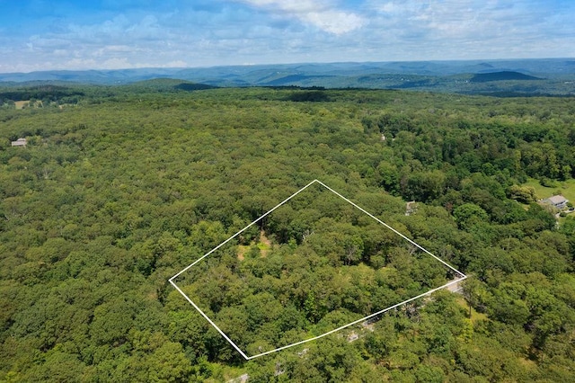 51 Kirby Hill Rd, Pawling, NY 12564 - photo 12