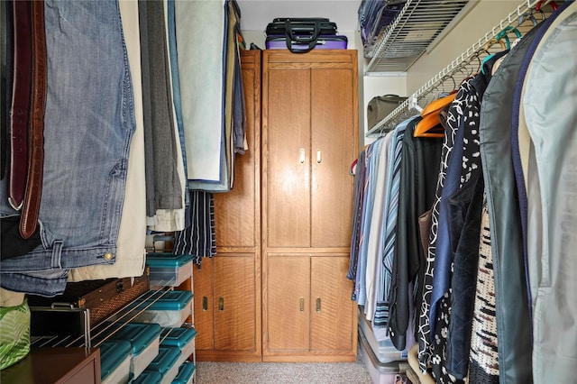 100 High Point Dr Unit 310, Hartsdale, NY 10530 - view of walk in closet