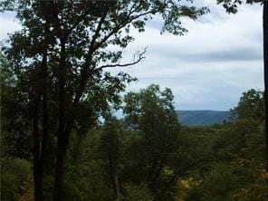 Weyant Rd, Fort Montgomery, NY 10922 - photo 4