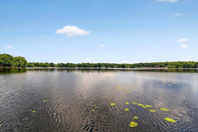 114 Lake Shore Dr S, Rock Hill, NY 12775 - photo 33