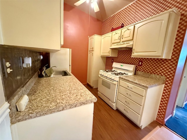 18 Ivy St Unit 1B, Farmingdale, NY 11735 - kitchen featuring white appliances, under cabinet range hood, light wood-type flooring, ceiling fan, and light countertops