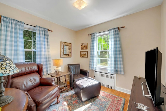86 Briary Rd, Dobbs Ferry, NY 10522 - living area with radiator heating unit and wood finished floors