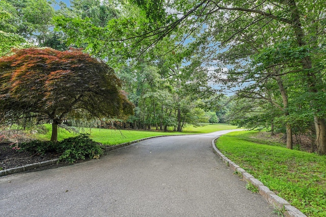 10 Bryan Meadow Path, Northport, NY 11768 - view of property's community featuring a yard