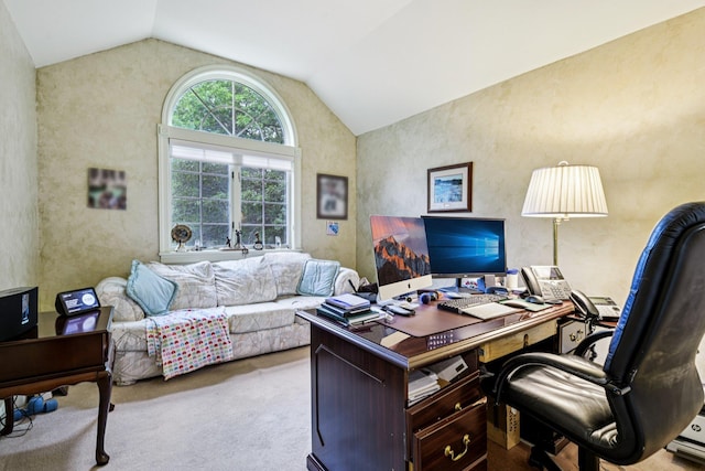 10 Bryan Meadow Path, Northport, NY 11768 - office space with vaulted ceiling and carpet
