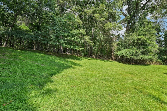 10 Bryan Meadow Path, Northport, NY 11768 - view of grassy yard
