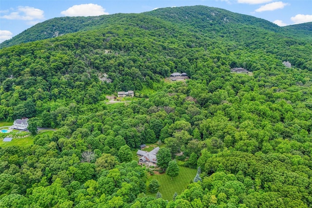 17 Half Moon Rdg, Cold Spring, NY 10516 - aerial view of a heavily wooded area and a mountainous background