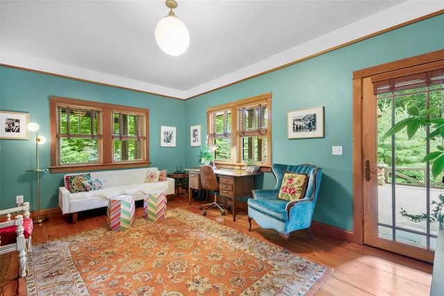 17 Half Moon Rdg, Cold Spring, NY 10516 - living room featuring wood finished floors and a desk