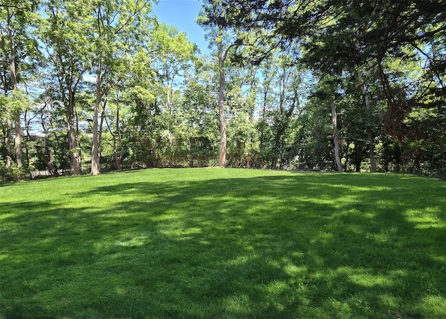 121 Lower Sheep Pasture Rd, East Setauket, NY 11733 - view of grassy yard