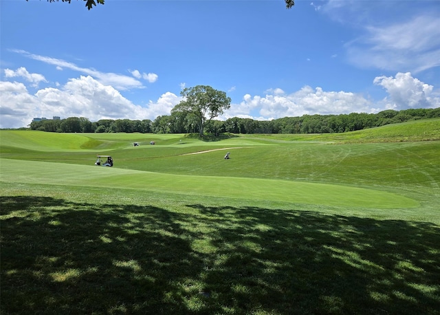 121 Lower Sheep Pasture Rd, East Setauket, NY 11733 - view of community with golf course view and a yard