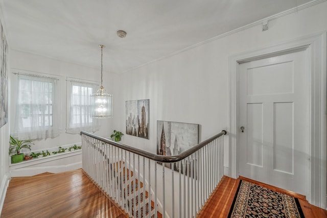 5 Kohlsaat Ct, Smithtown, NY 11787 - photo 29