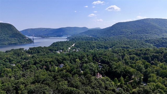 4 Deer Run Trl, Fort Montgomery, NY 10922 - photo 45