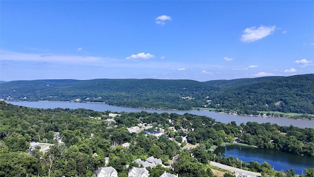 4 Deer Run Trl, Fort Montgomery, NY 10922 - photo 46